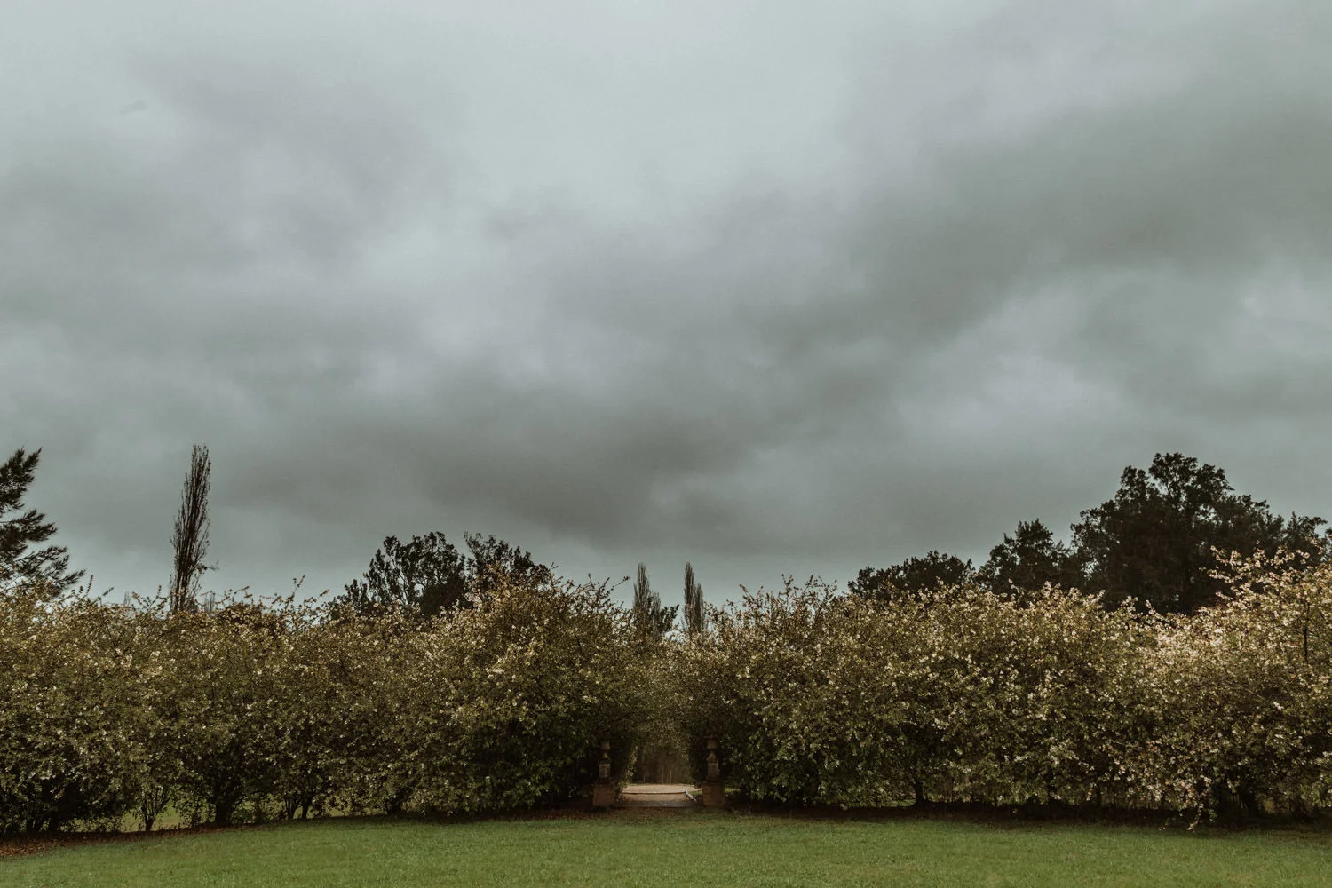 kangaroo-valley-wedding-photographer_044(2570).jpg