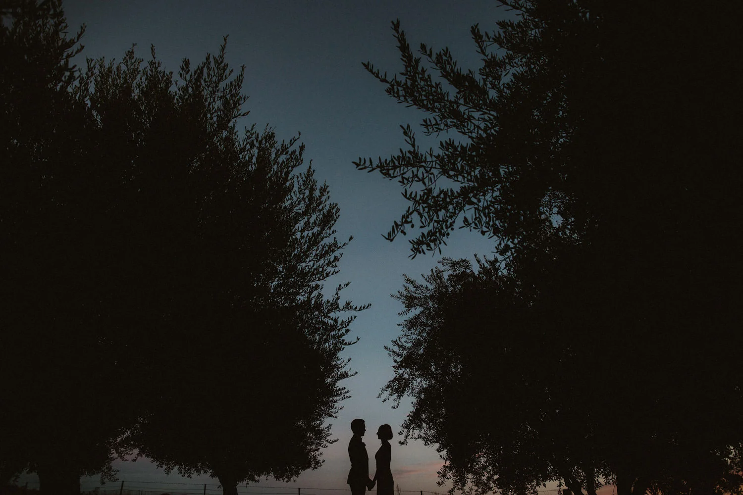 best-australian-wedding-photographer_012().jpg