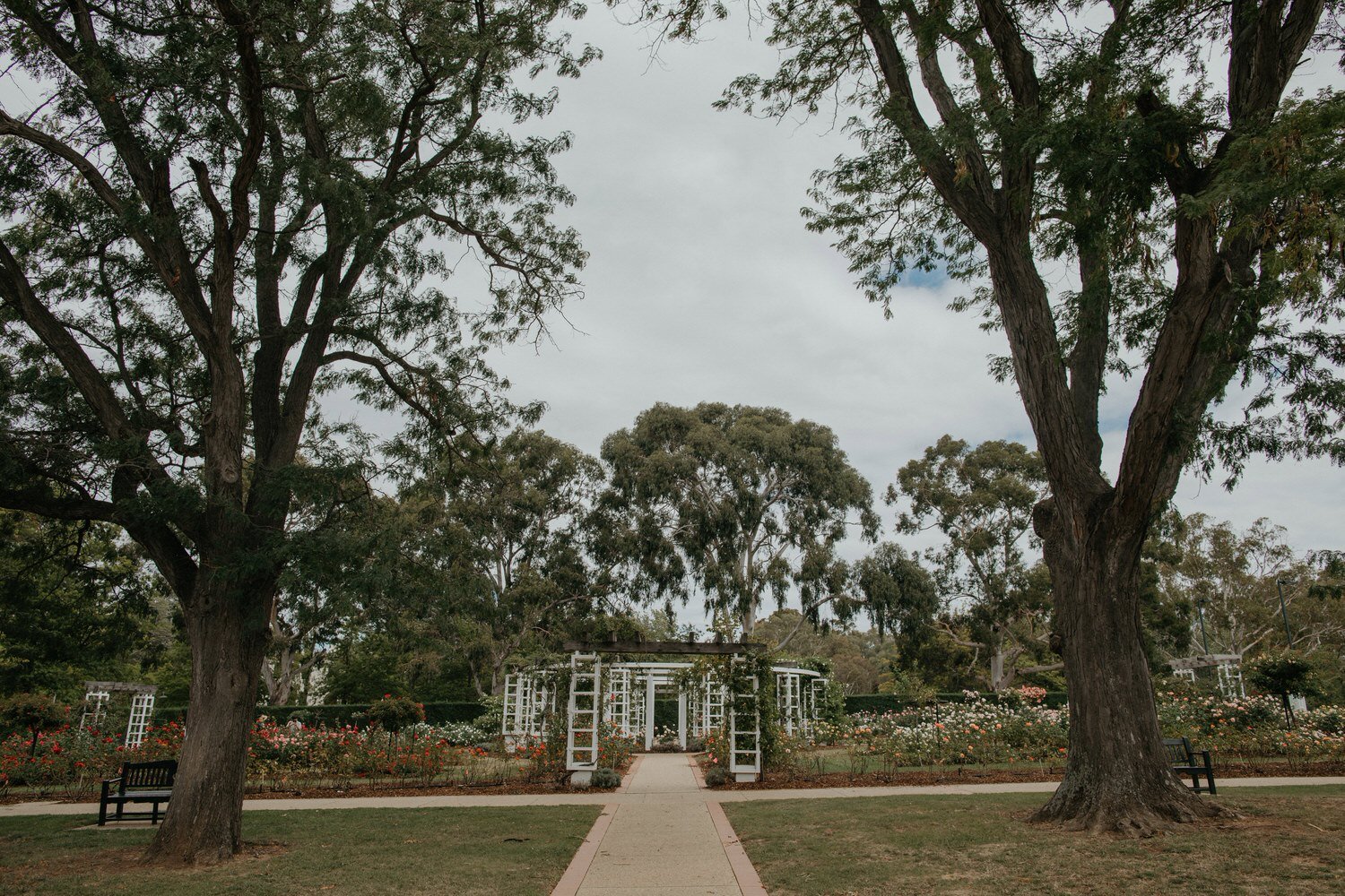 Parlour-Wine-Room-Wedding-Canberra-8.jpg