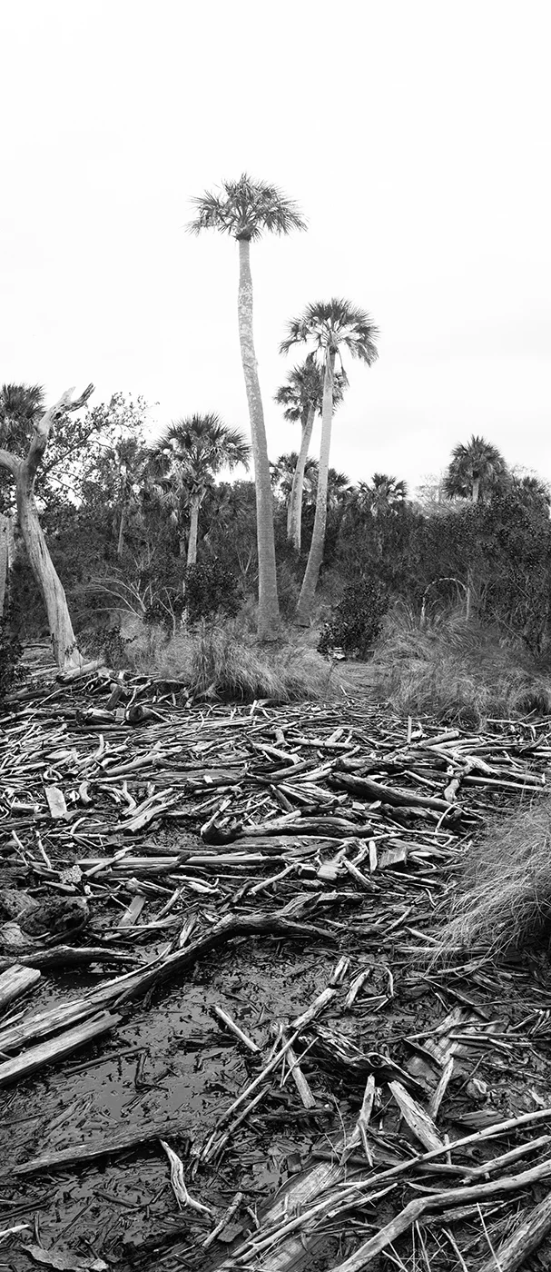 Florida, 2014
