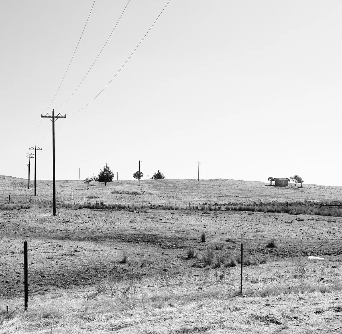 California, 2013
