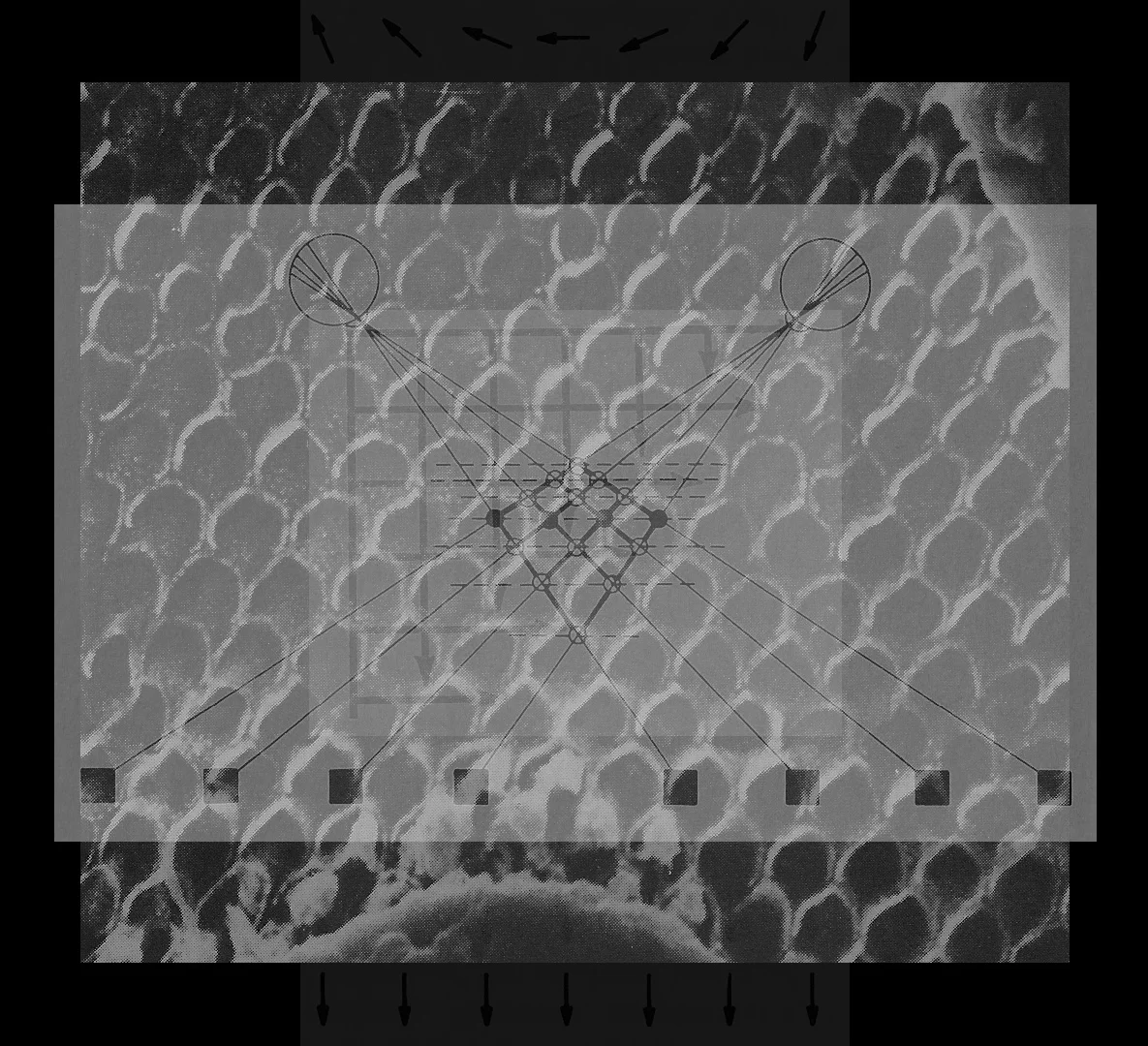 video image blended composite no.2; 2015