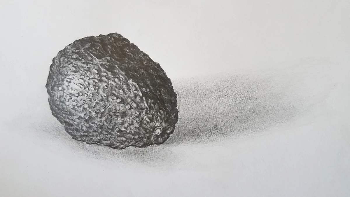 graphite on paper; 2016