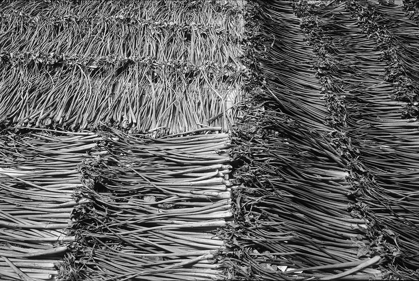 rope drying III