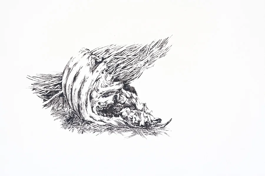 India ink on paper; 3x5”; 2001
