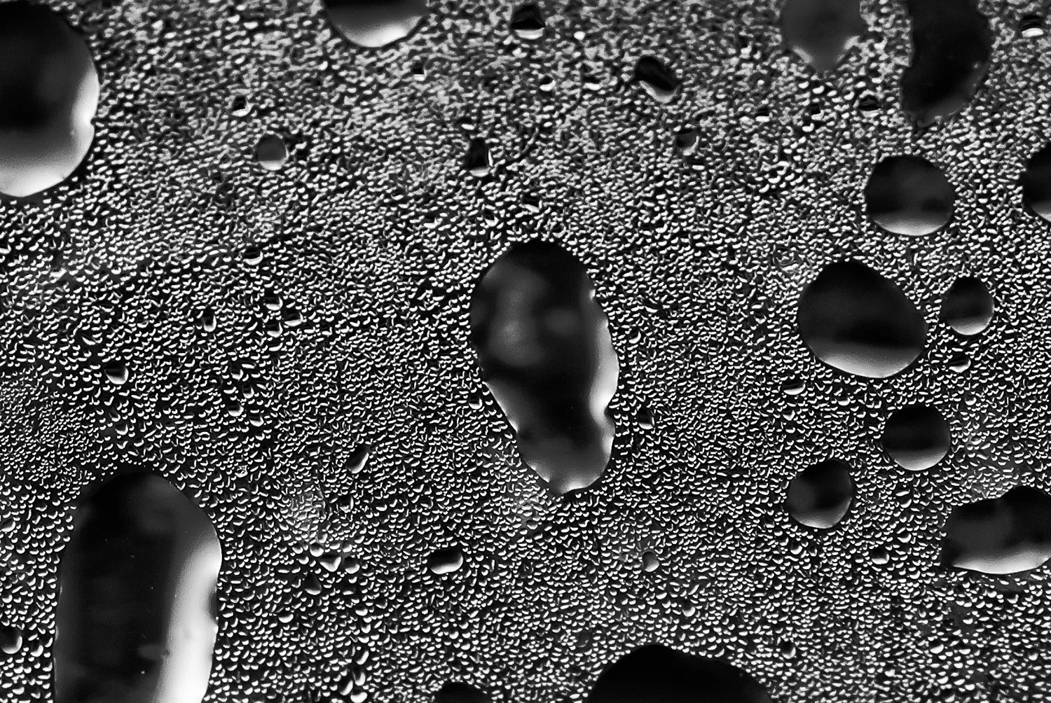 Condensation I (detail)