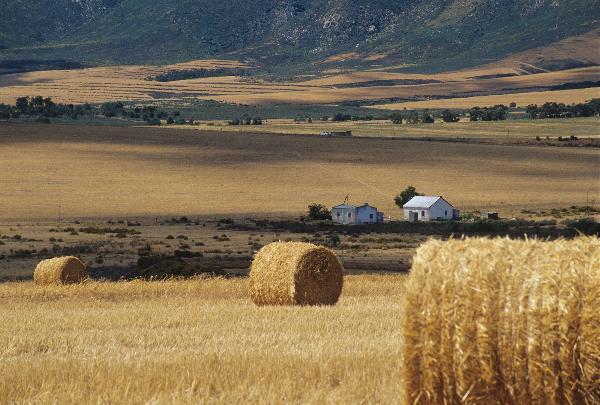 Paarl, South Africa