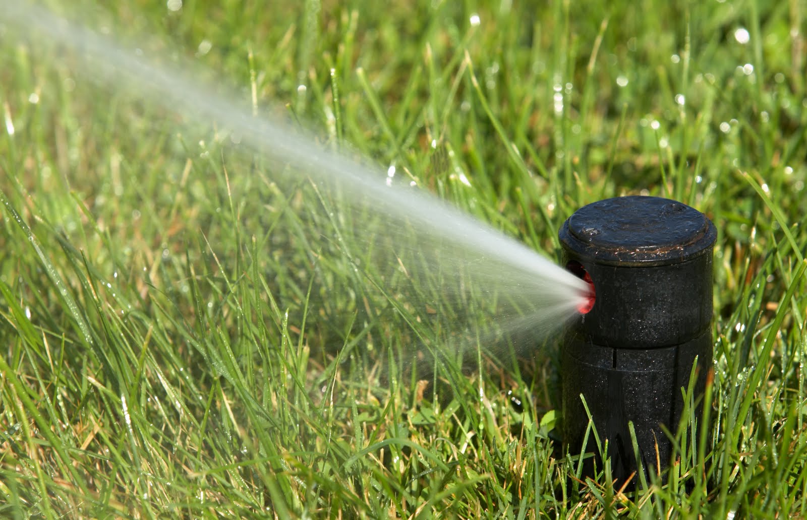   Irrigation System Maintenance    Find Out More  