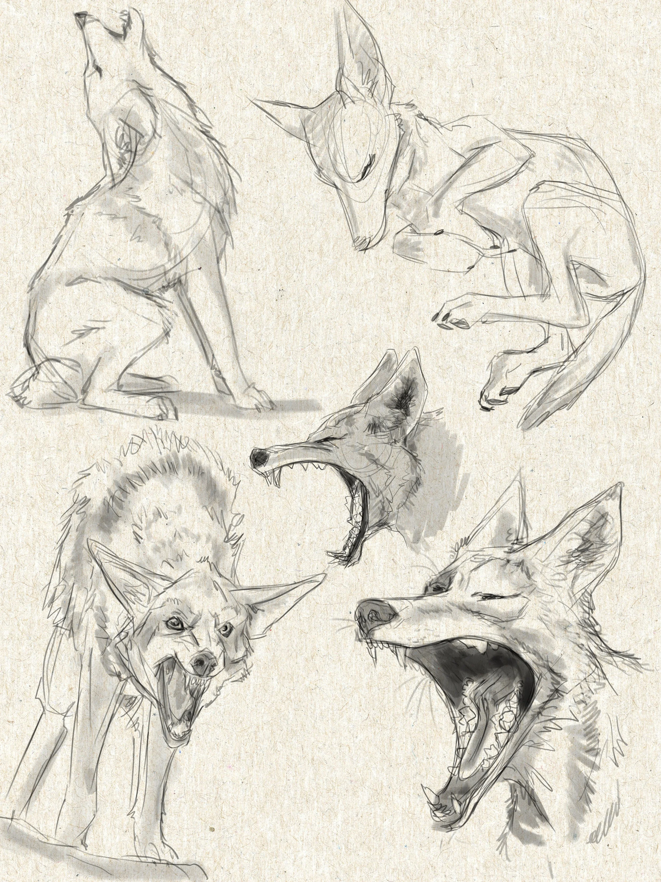 ANIM713_sketchbook-page18.jpg
