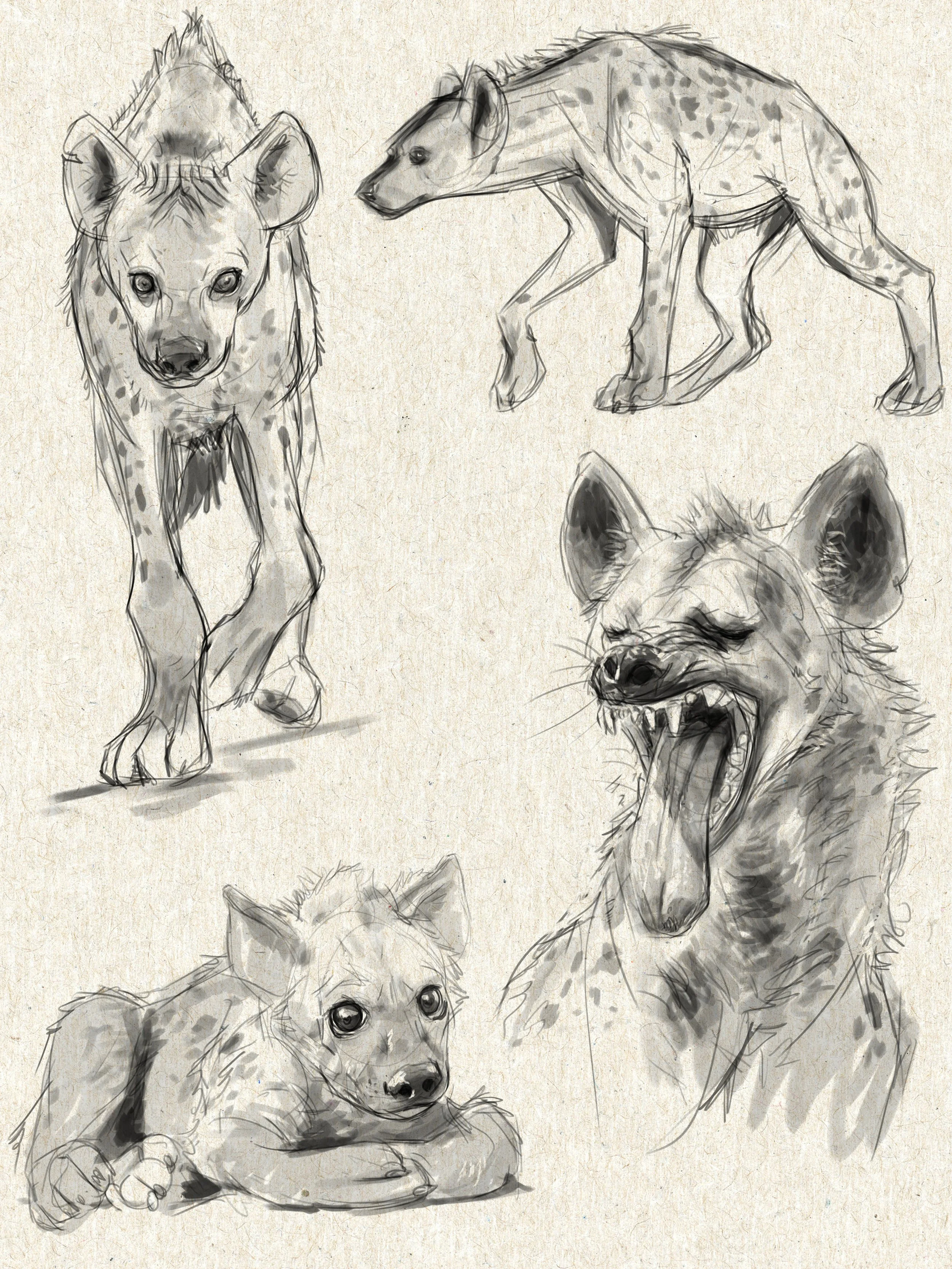 ANIM713_sketchbook-page19.jpg