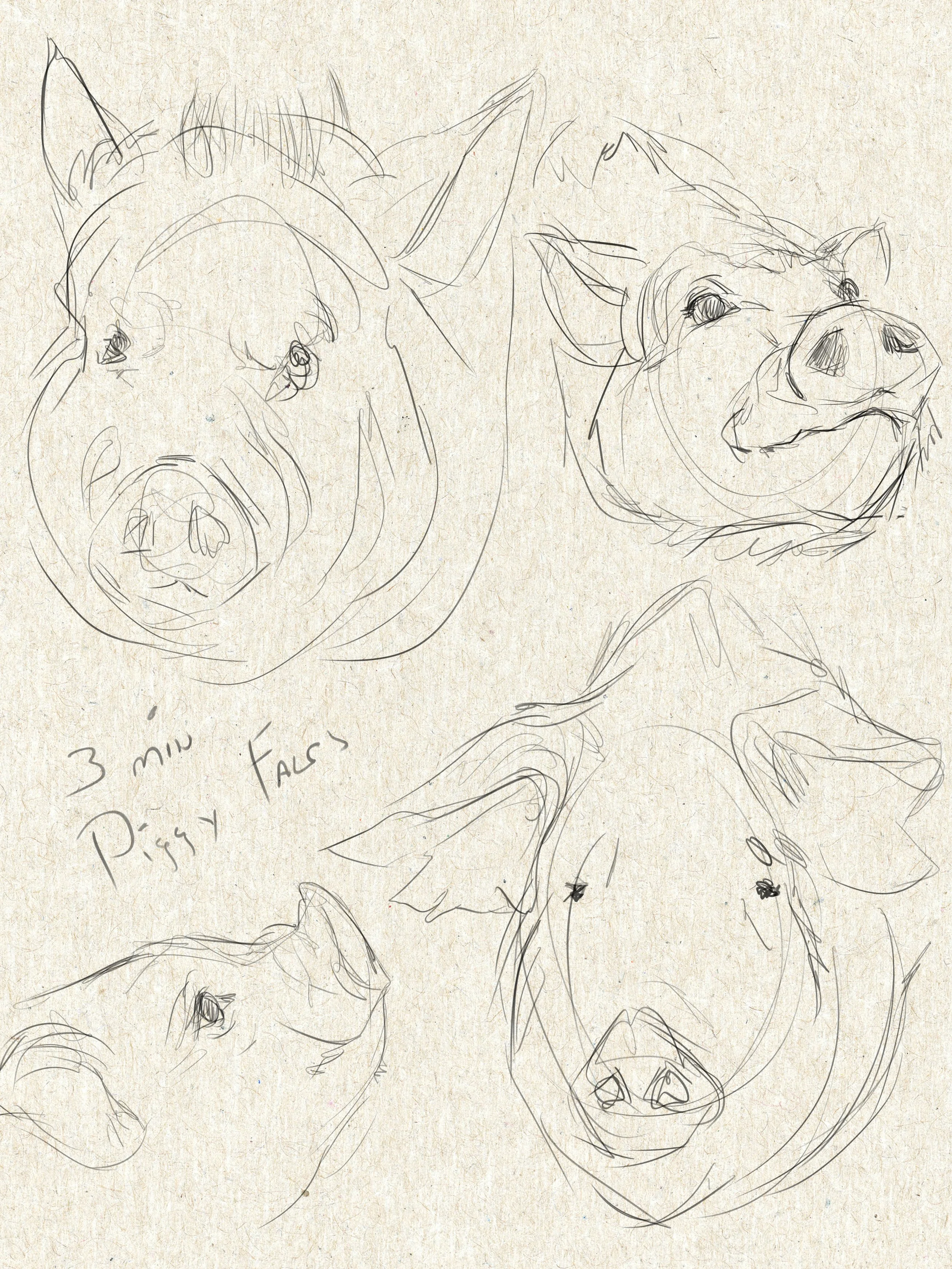 ANIM713_sketchbook-page53.jpg
