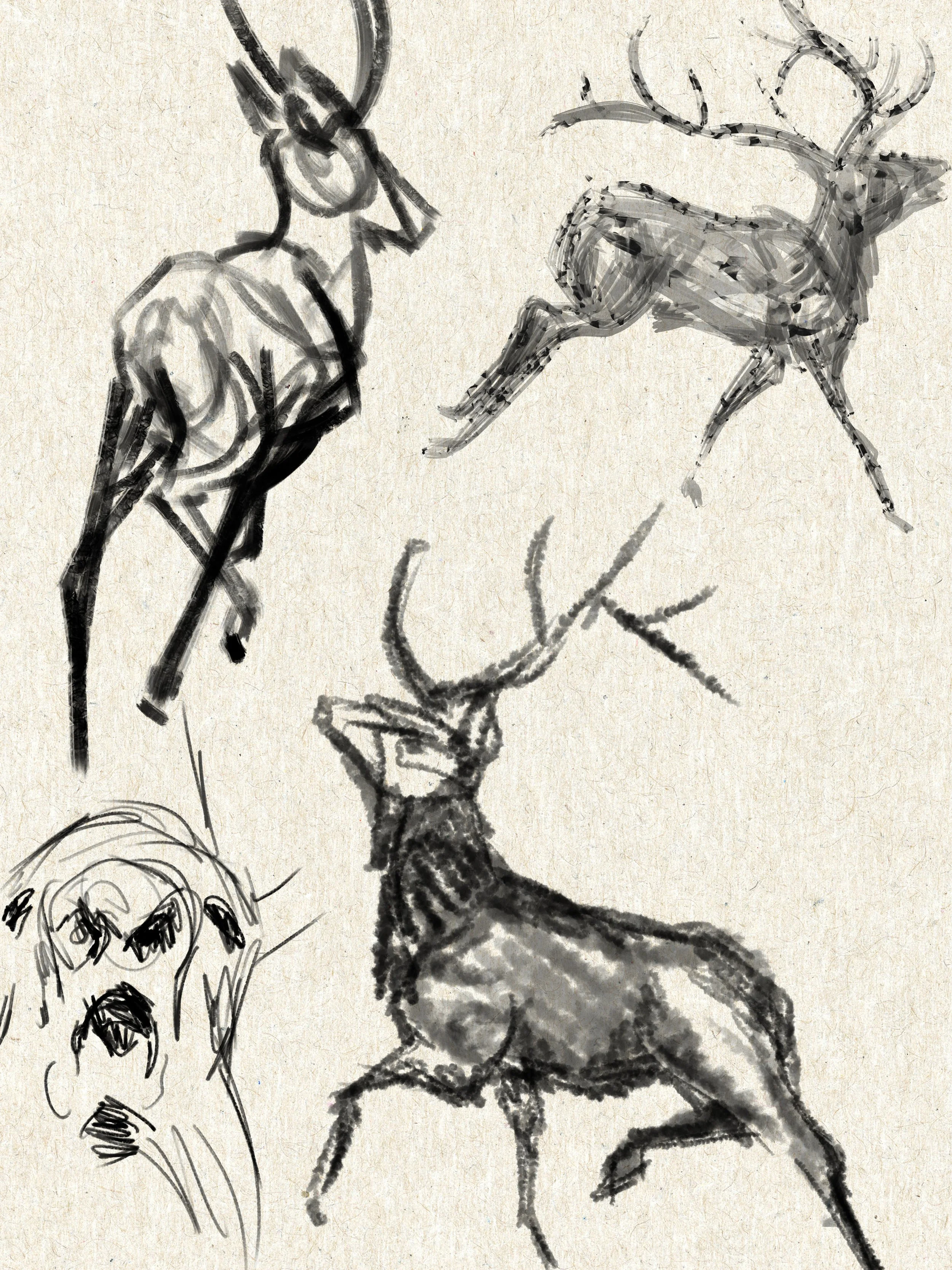 ANIM713_sketchbook-page4.jpg