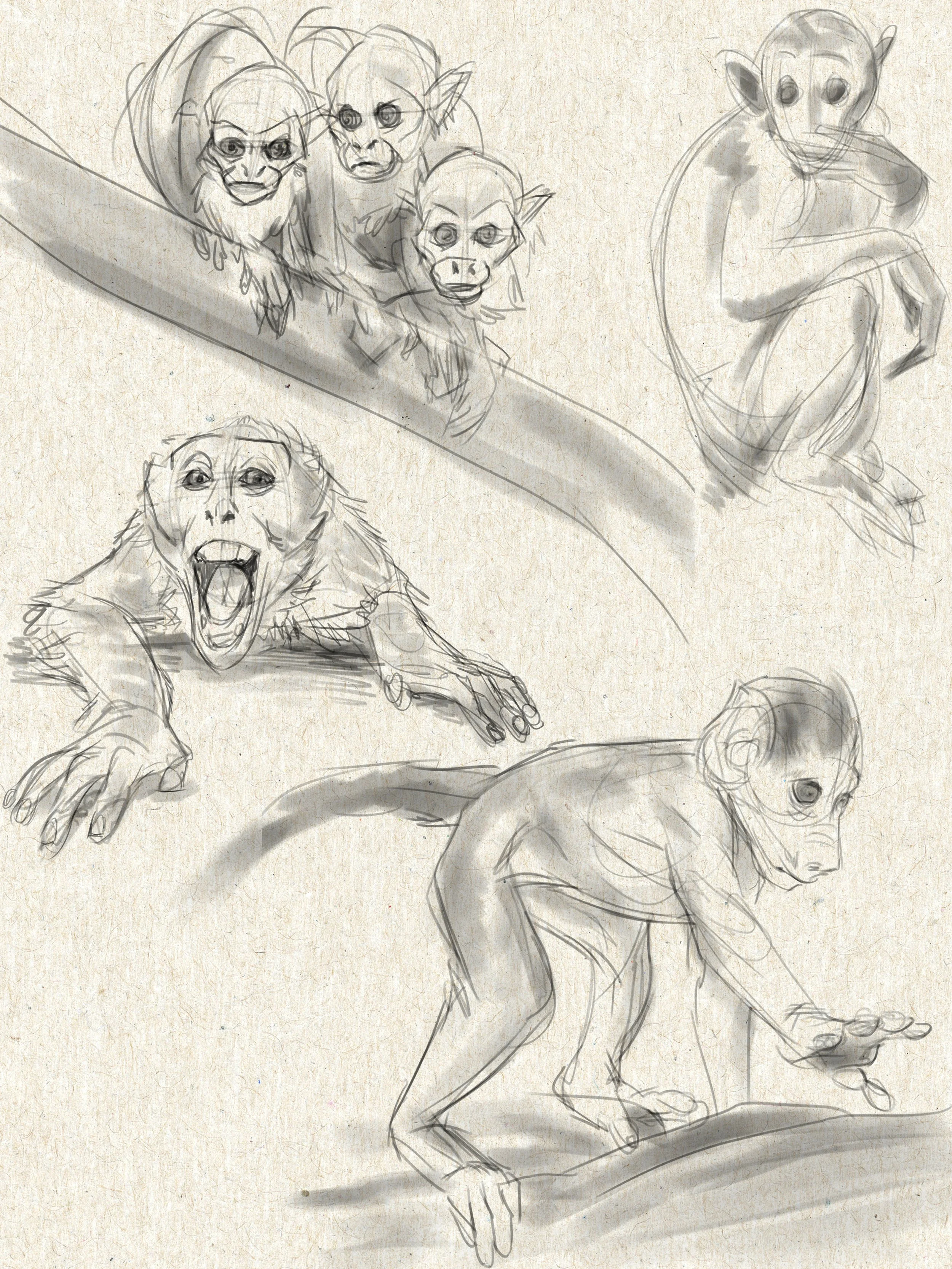 ANIM713_sketchbook-page16.jpg