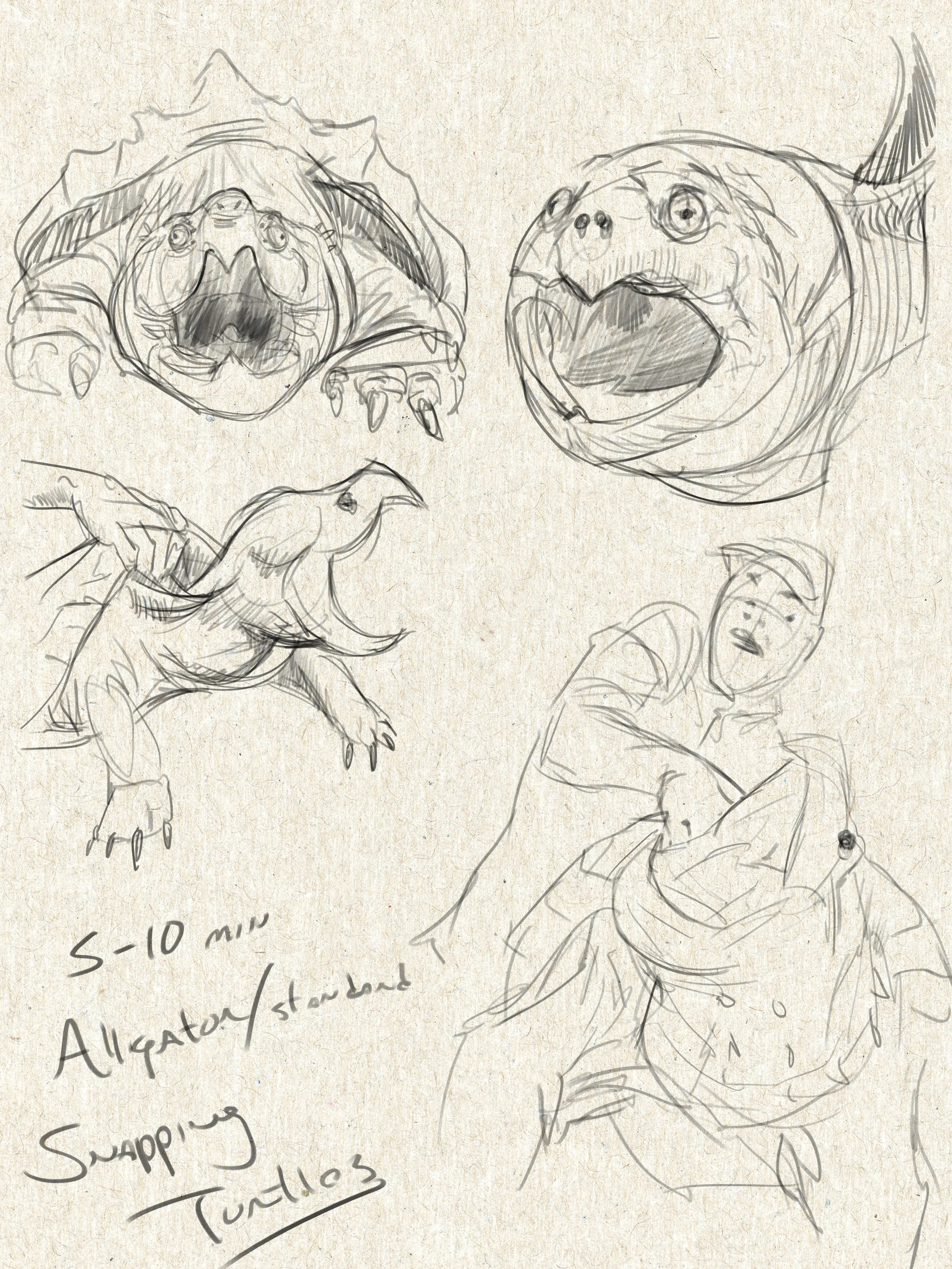 ANIM713_sketchbook-page40.jpg