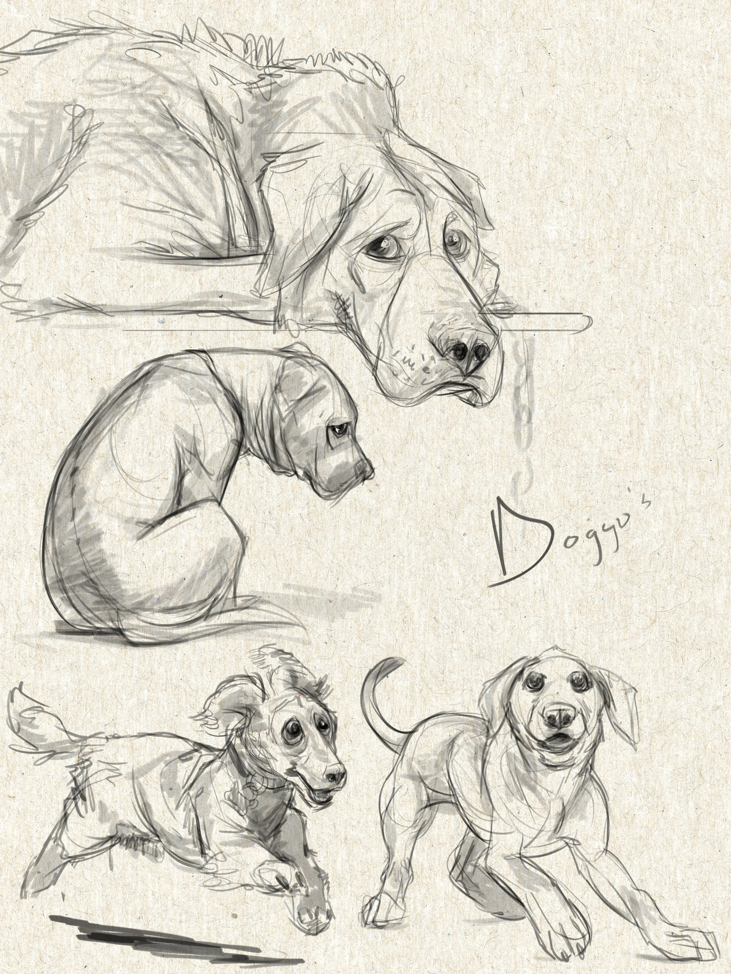 ANIM713_sketchbook-page66.jpg