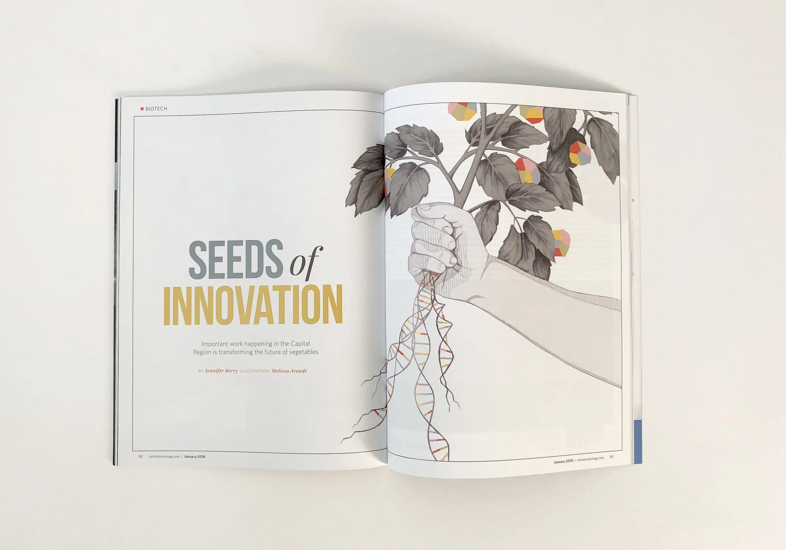Illustration for Comstock's Magazine, January 2018