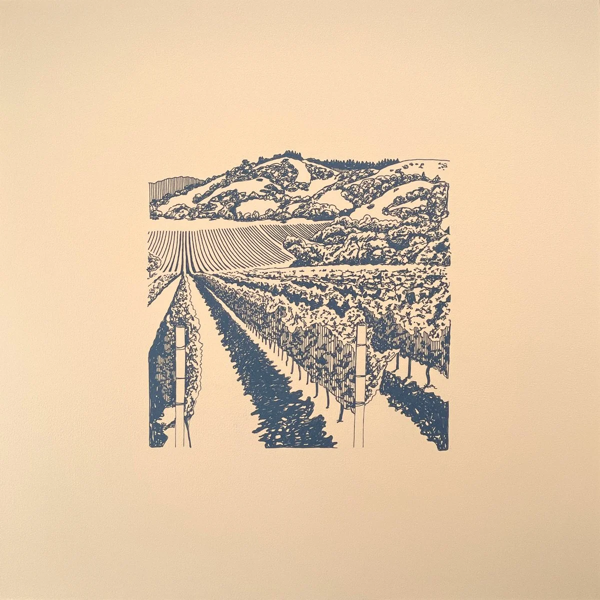 9-Napa-Valley.jpg