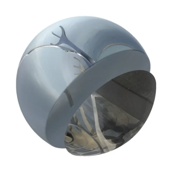 8 Revealed and Concealed 