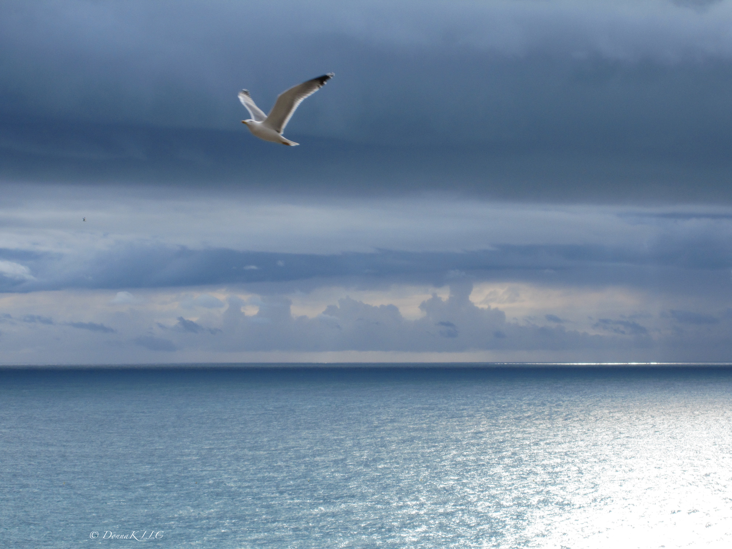 Team Milestone 4 Performing