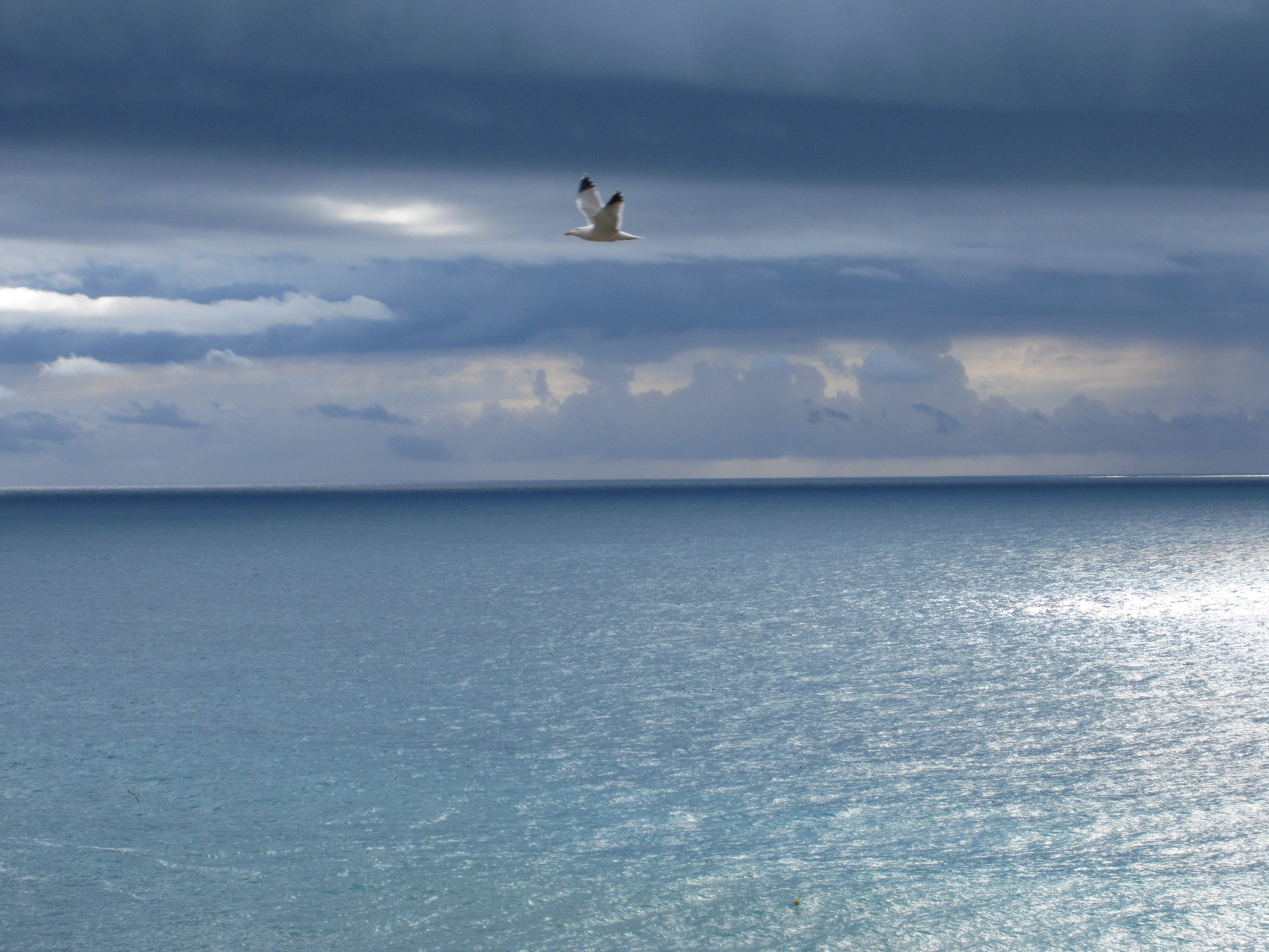 Team Milestone 3 Norming