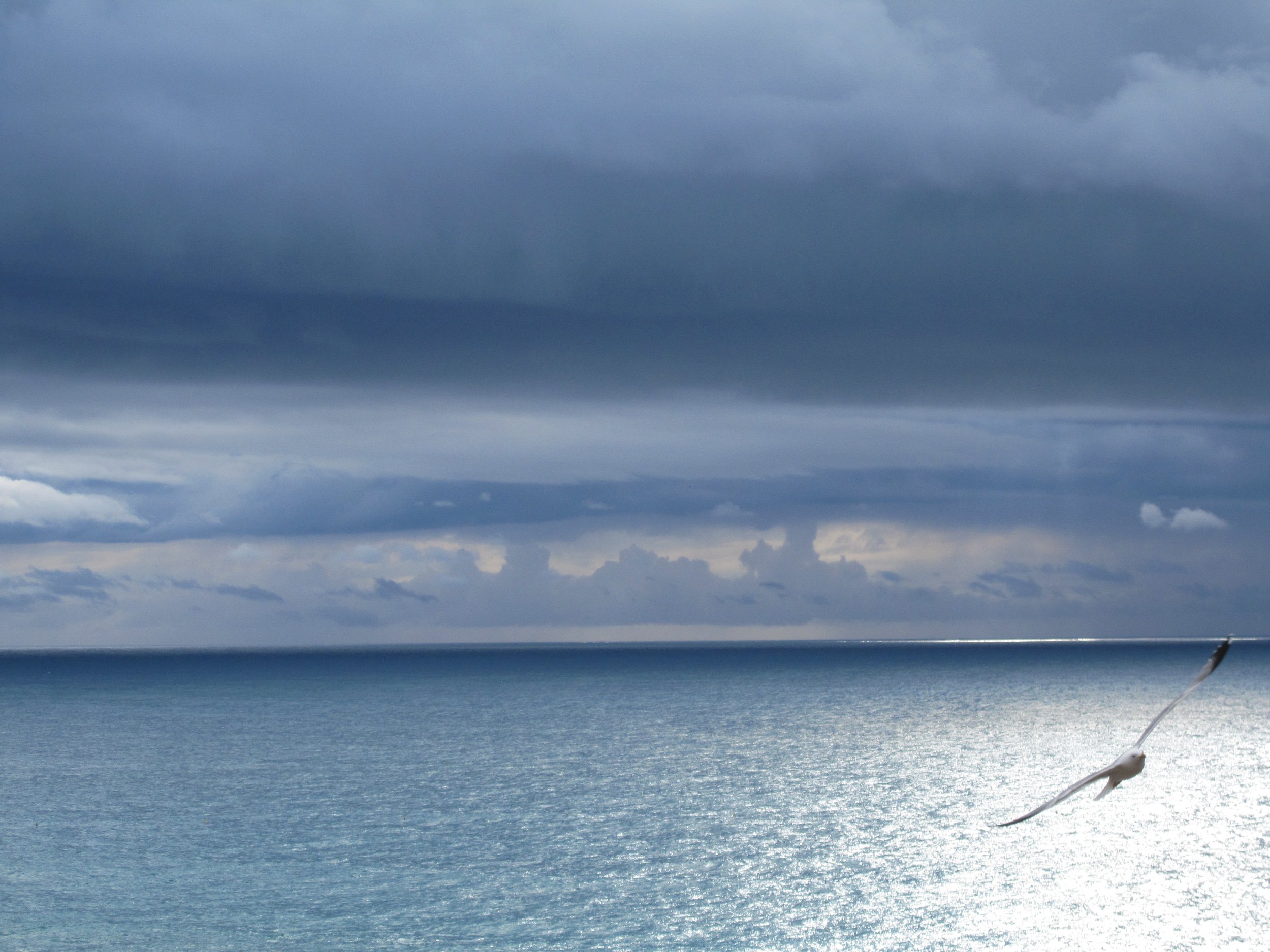 Team Milestone 1 Forming