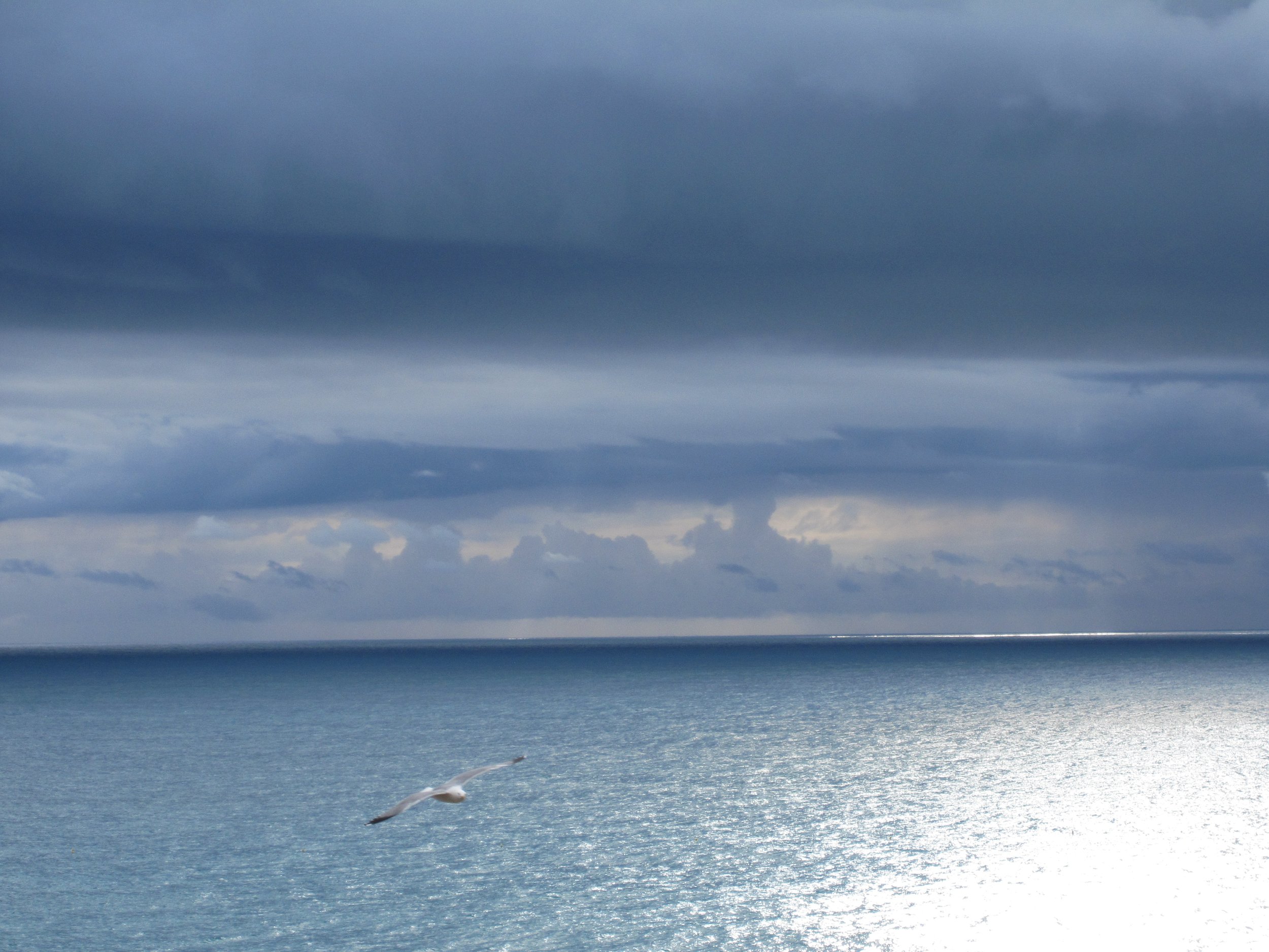 Welcome Team Voyager!