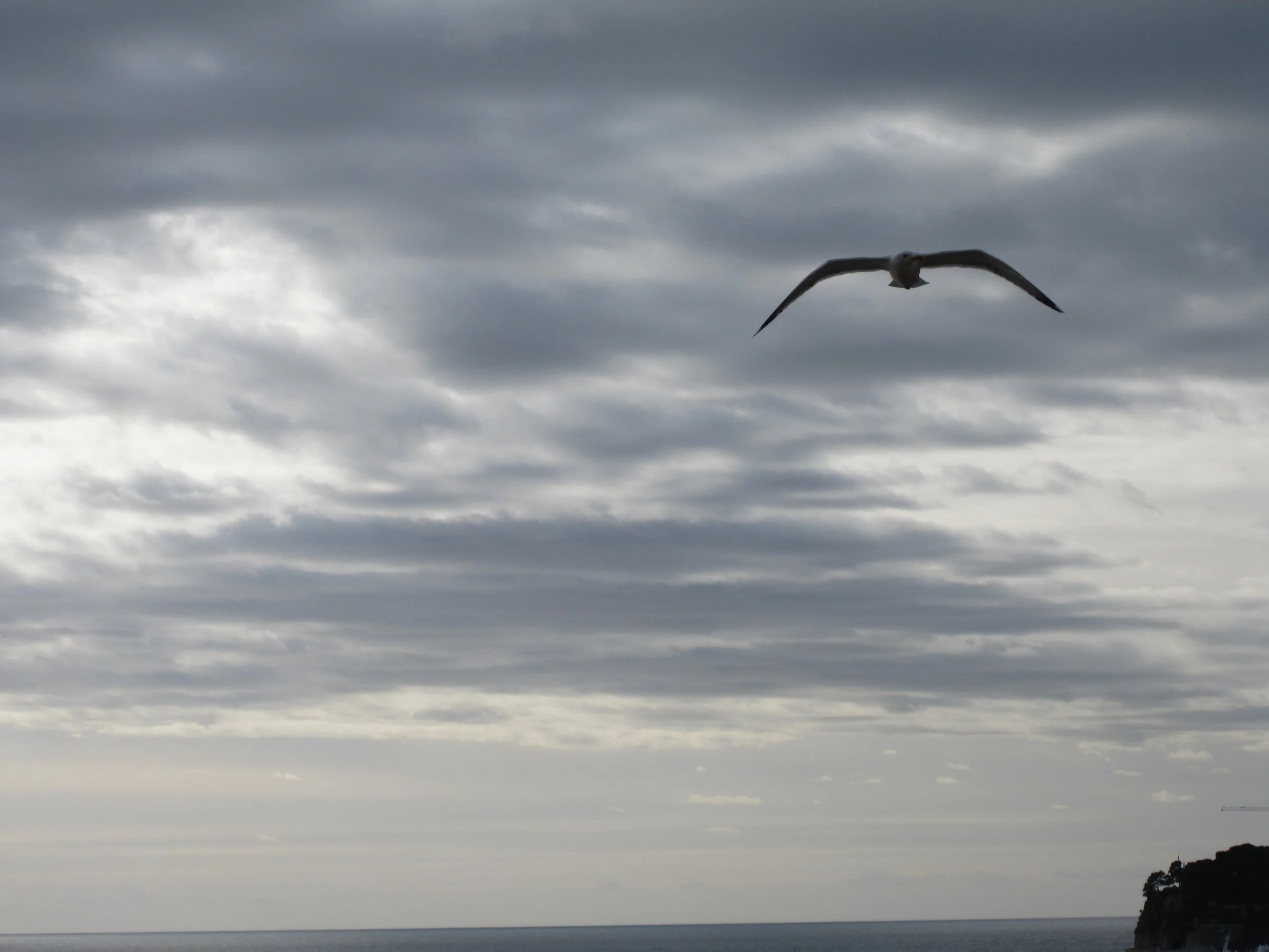 Team Milestone 2 Storming