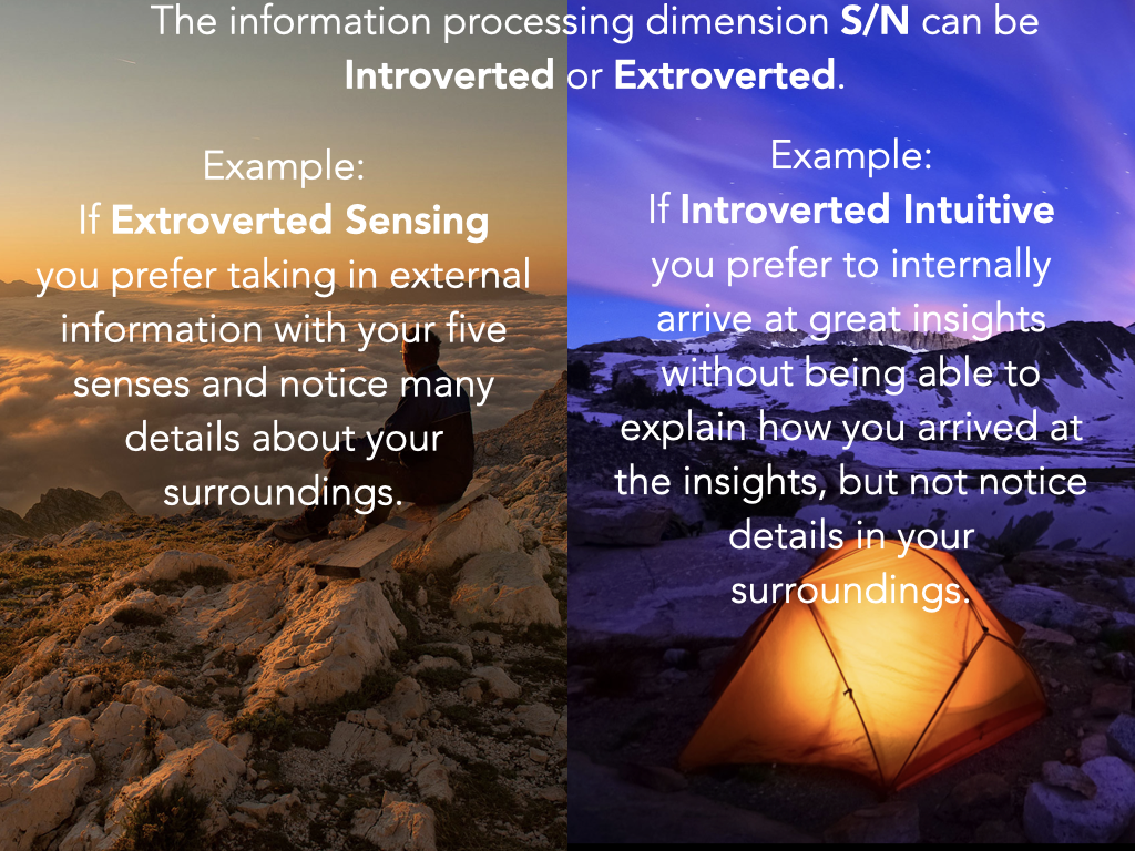 03.2 WHOS IN YOUR TENT Part 2 Extroverted Type Dimension.018.png