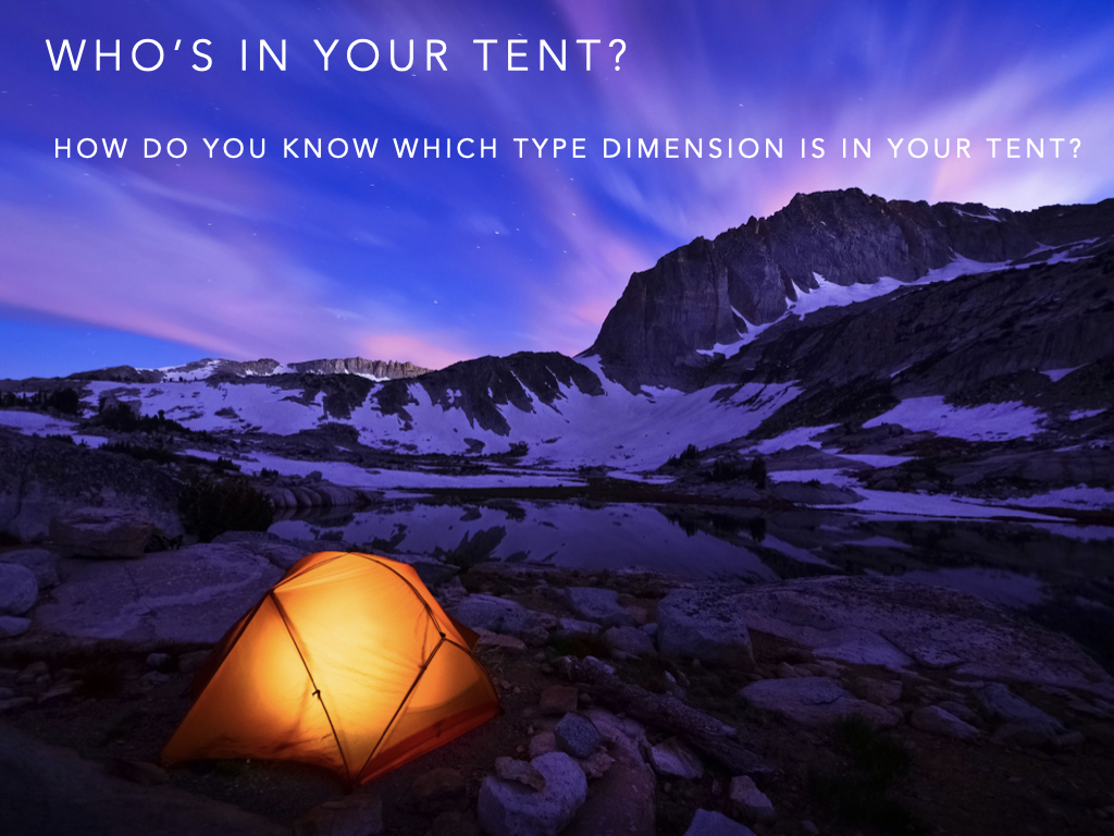 03.2 WHOS IN YOUR TENT Part 2 Extroverted Type Dimension.019.png