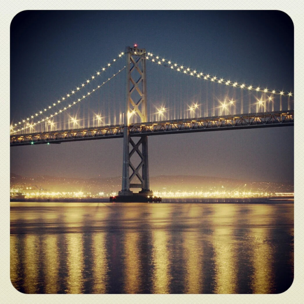 Bay Night Delight