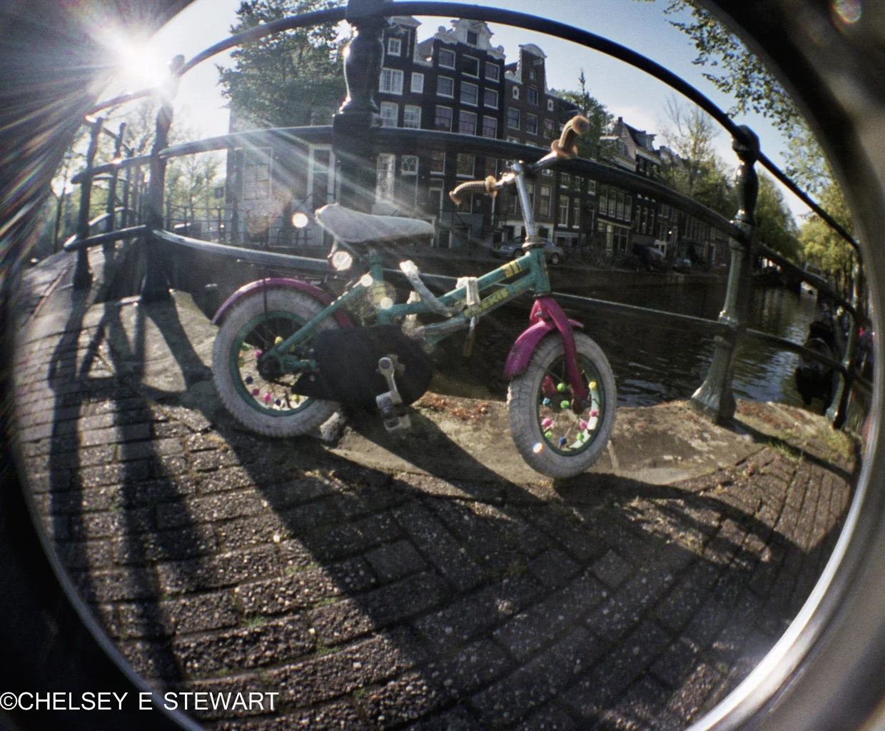 baby_bike.jpg