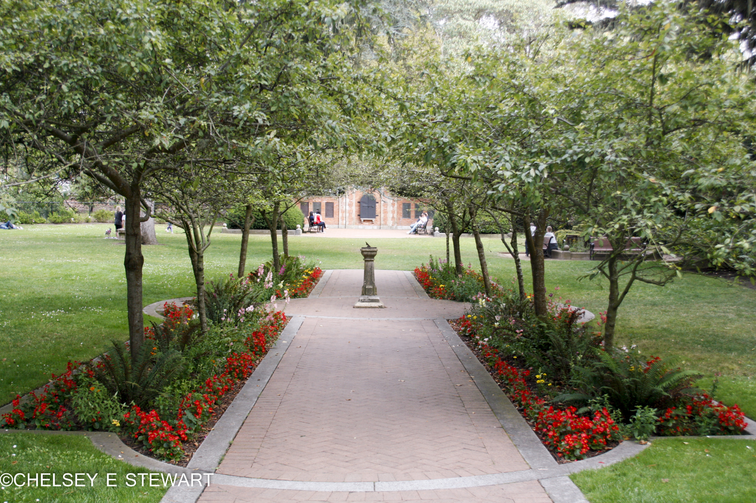 Shakespeare's garden in golden gate park - San Francisco.