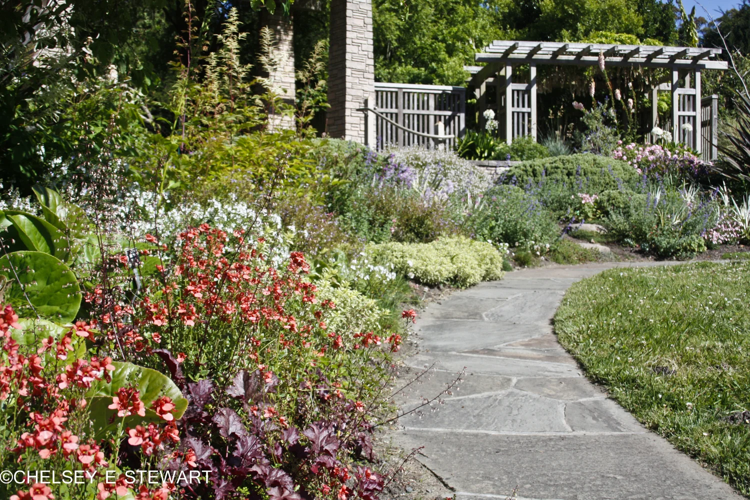 Zellerbach Garden of Perennials - San Francisco Botanical Garden.