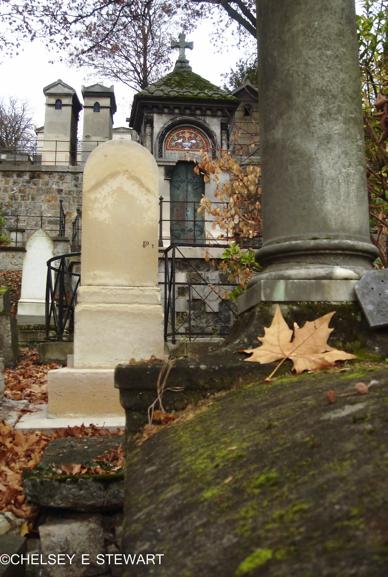 Garden of Stone