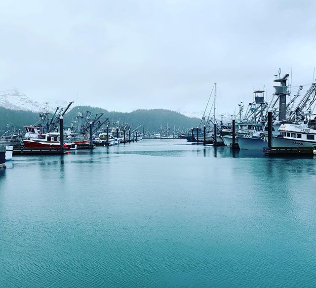 Fishing season has already begun for many captains, crews, and processors. K&amp;A is gearing up for another great season of advocacy, strategy, and outreach on behalf of our seafood industry sector clients.
.
We&rsquo;re so excited to be working alo