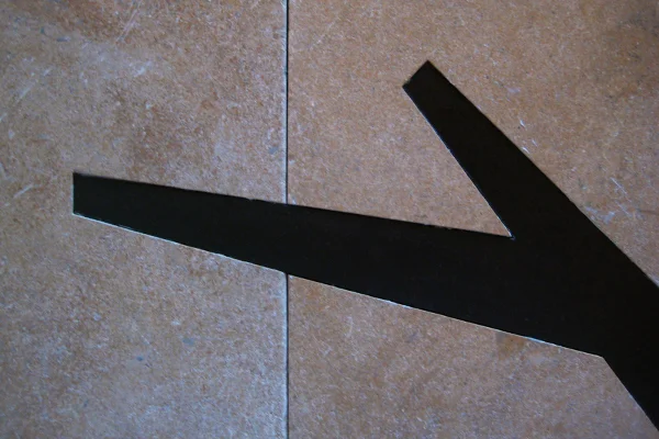 aforestfloor_2.jpg