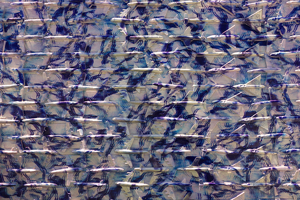 boneyard_1.jpg