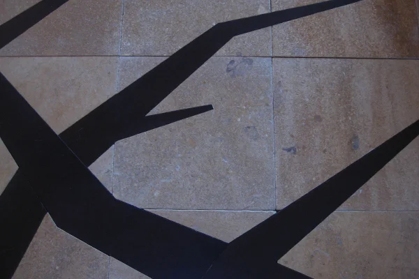 aforestfloor_3.jpg