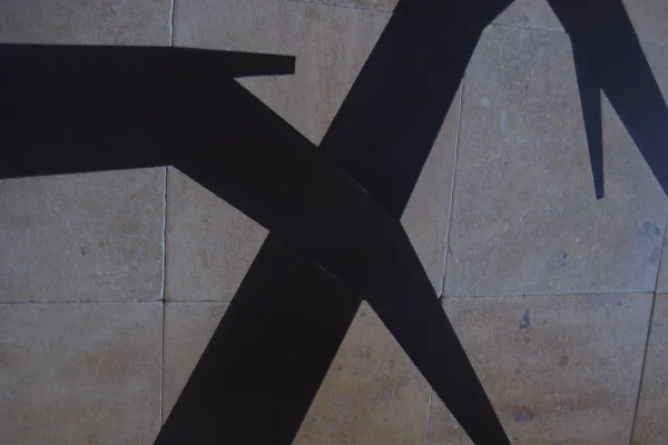 aforestfloor_4.jpg