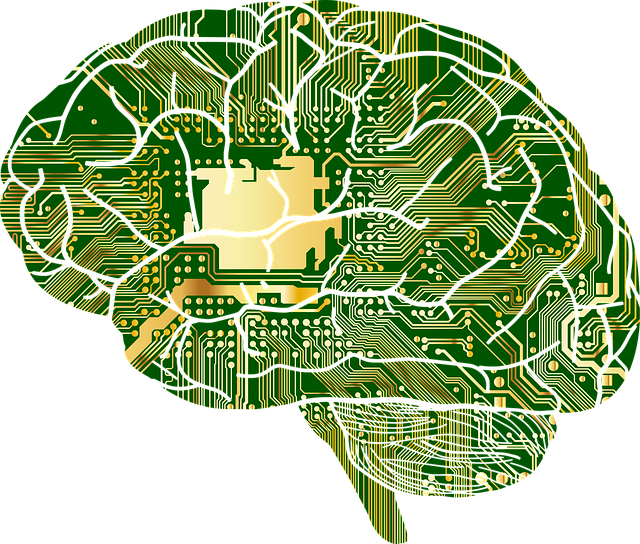 brain-circuit.png