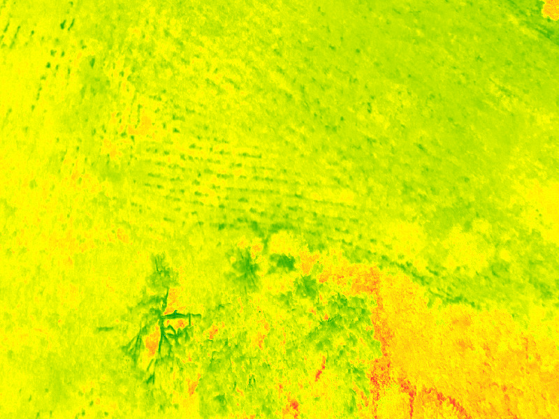 Red Edge spectrum - Vegetation mapping (Index colour)