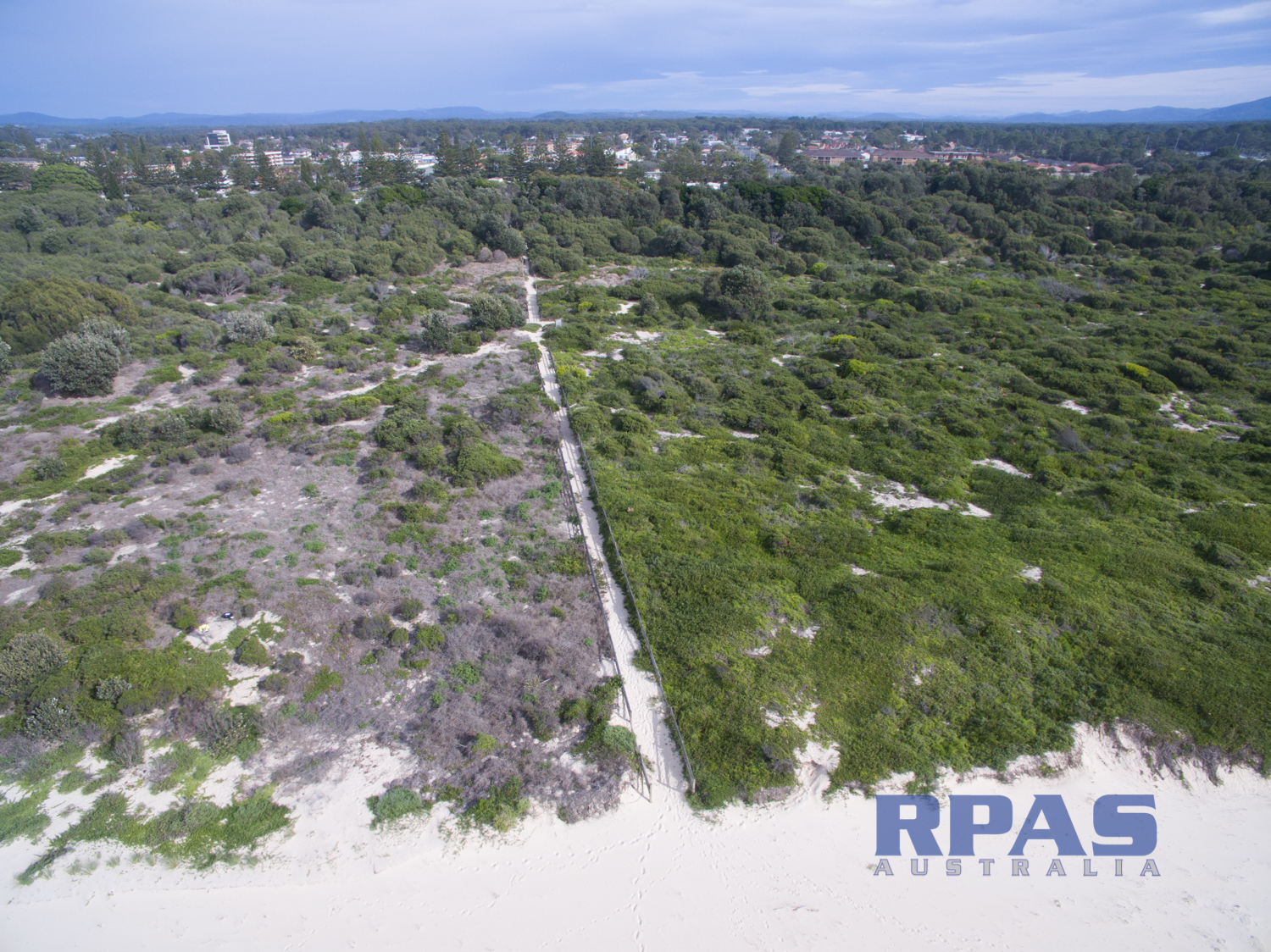 bush regeneration weed management