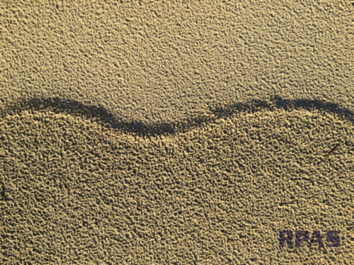 Sand wave.png