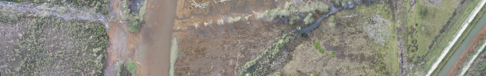 bigswamp_100514_std_mosaic_rgb copy.png