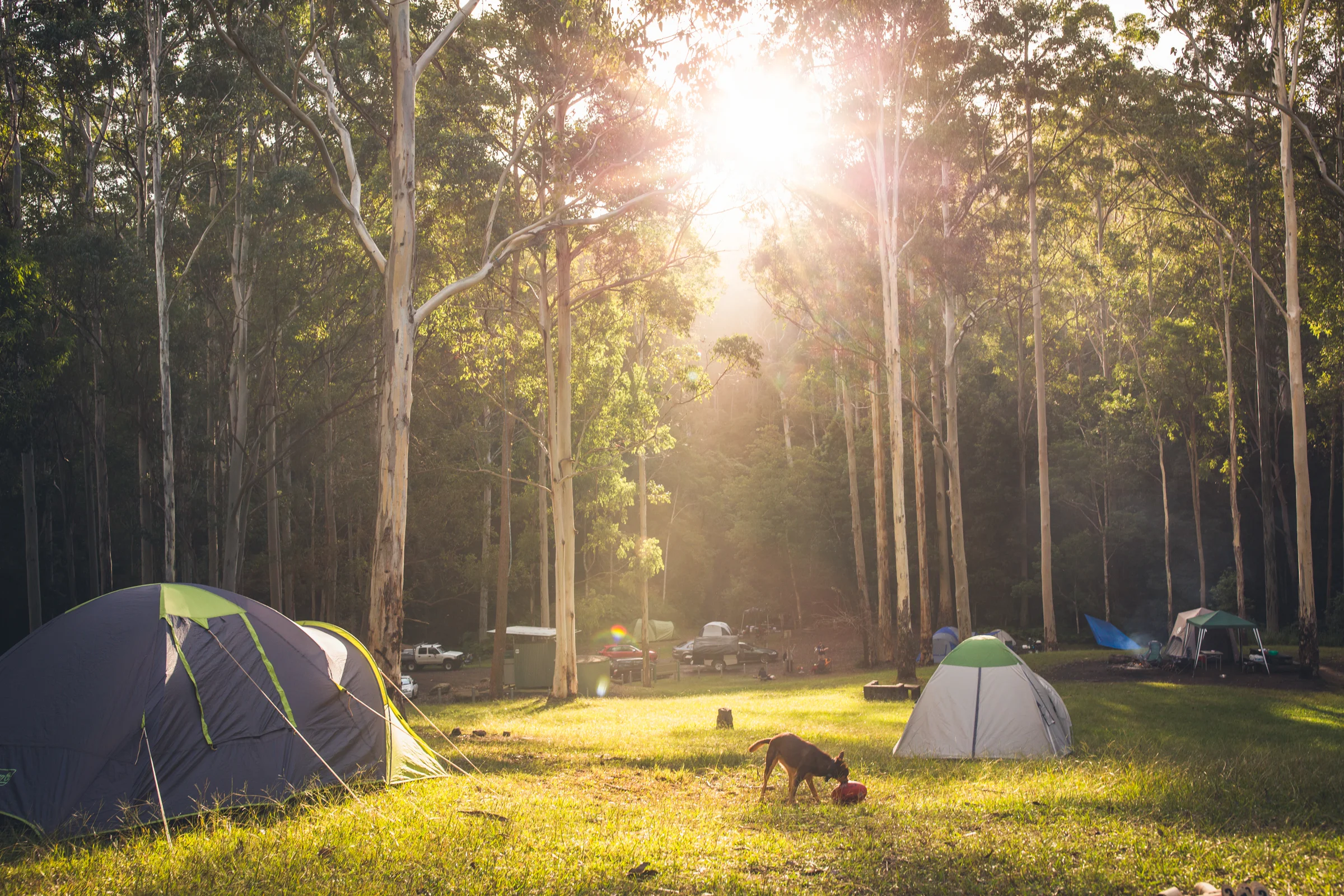 Basin Campground - Watagans State Forest NSW.