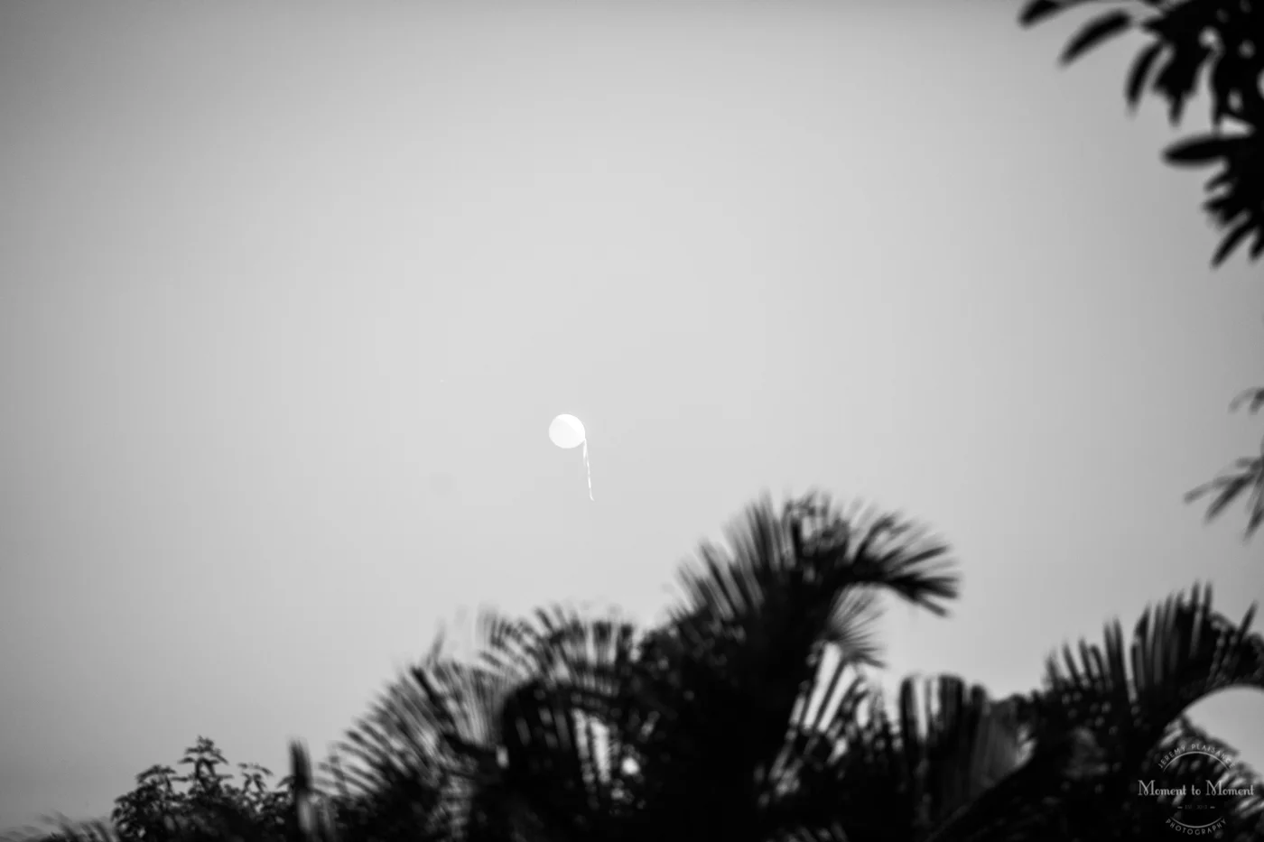 MomentToMomentPhotographyBec&Rico-36.jpg