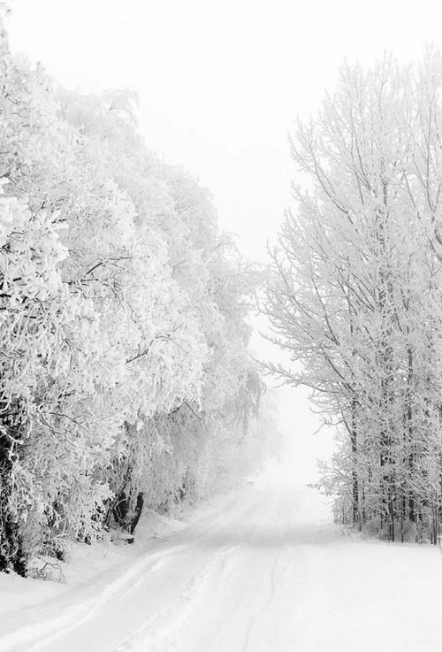 winter2.jpg