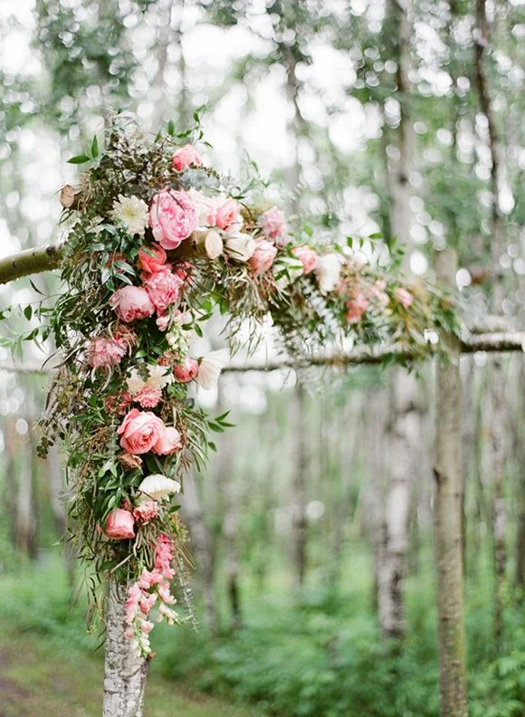 Large florals on a timber arbour.