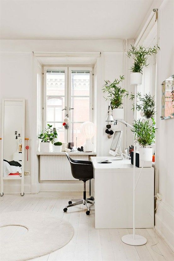 An office full of indoor plants provide a calming work enviroment.