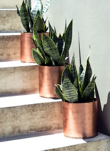 Copper Planters